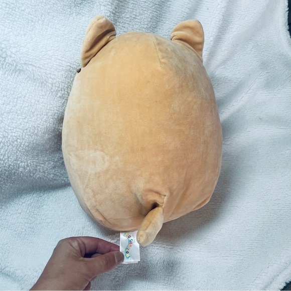 10" Squishmallows Angie Yay Dog Plush Toy - Picture 4 of 6